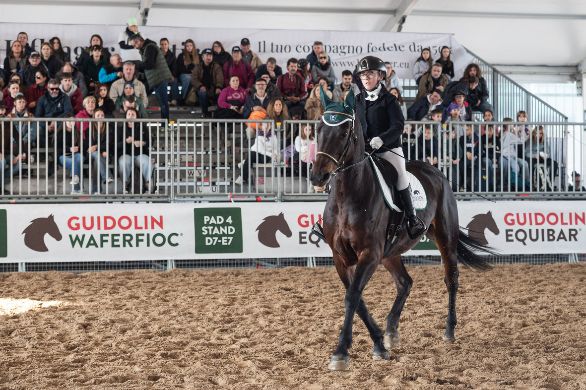 Fieracavalli2025_Veronafiere_Ennevi-Foto_6389