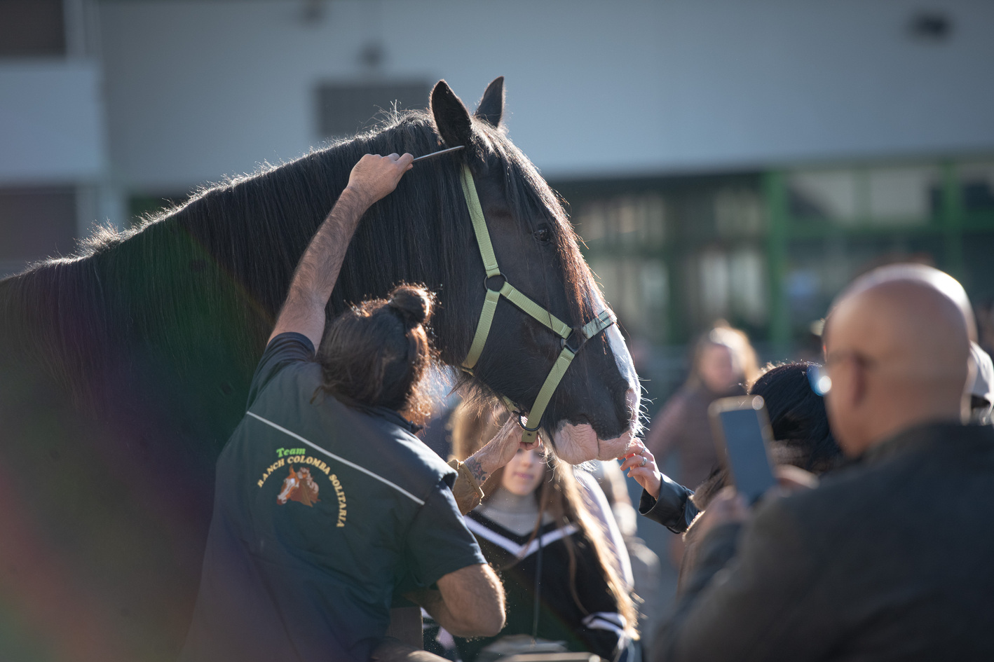 Fieracavalli2025_Veronafiere_EnneviFoto-6558